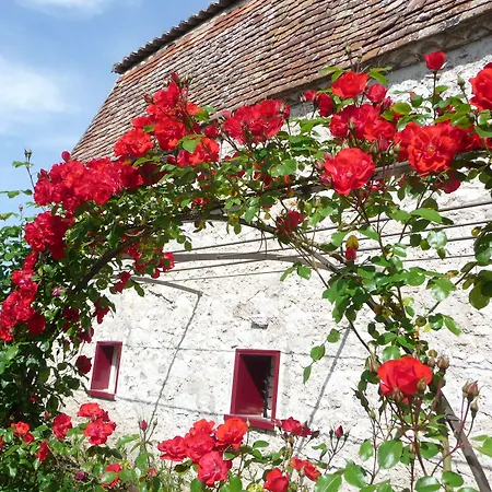 Domaine De Grande Font - D'hotes Saint-Pierre-d'Eyraud