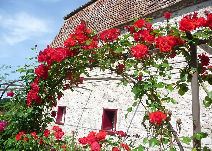Domaine De Grande Font - D'hotes Saint-Pierre-d'Eyraud